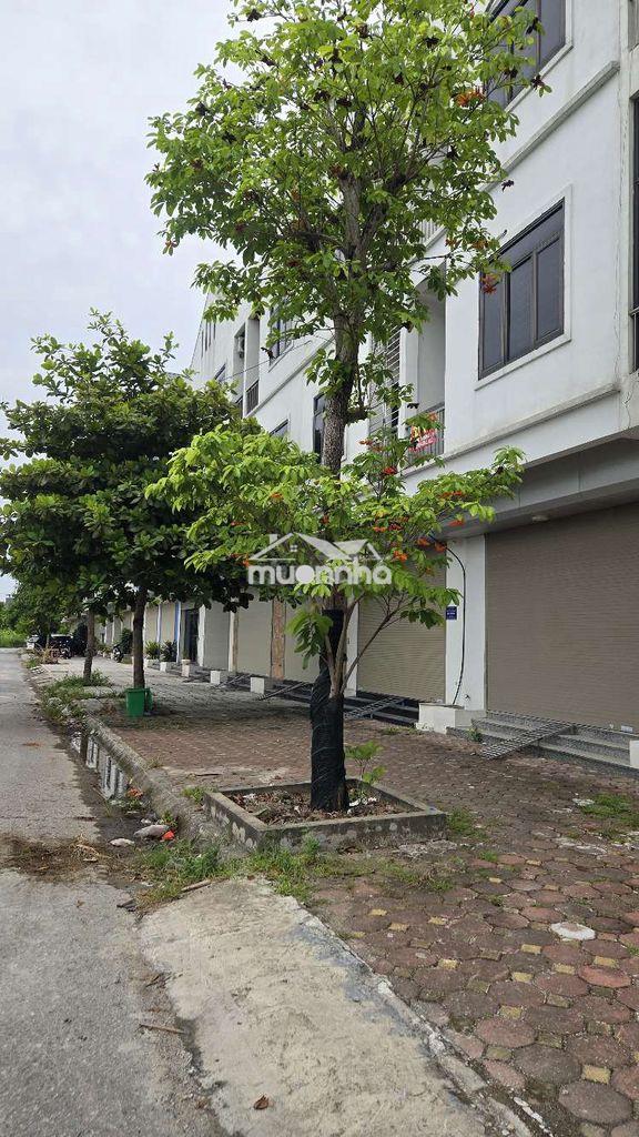 Bán đất, cho ai có thiện chí. - 3
