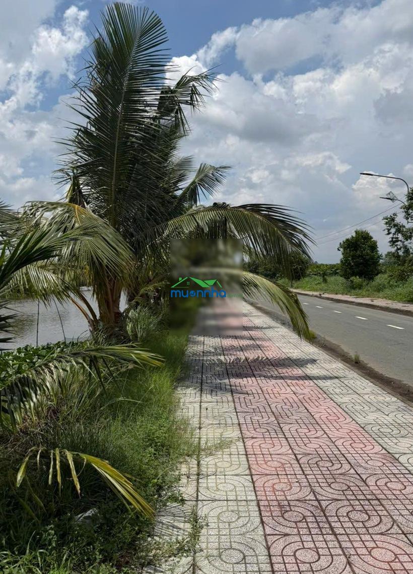 Bán noxh cầu tràm 150m2 - 1,7 tỷ, tại đường tỉnh lộ 826, xã phước lý, cần giuộc, long an - 2