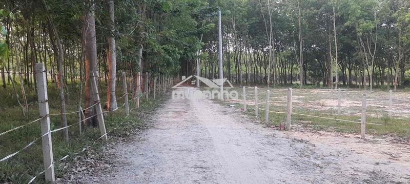 Đất chính chủ, bến cát - bình dương, thổ cư 100m2
