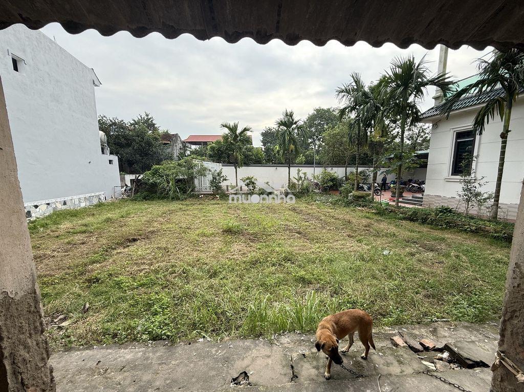 Chính chủ bán đất thôn thụ ích 4, liên châu - 3