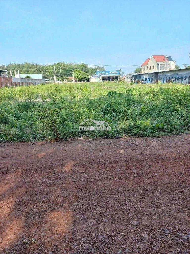 Cần bán hơn 9 sào đất trung tâm thành phố đồng xoài đồng nai 390đ