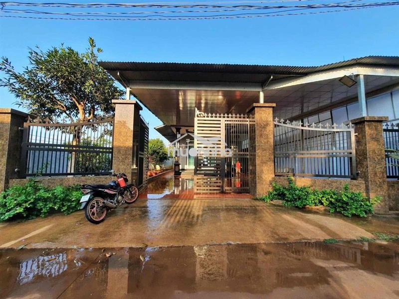 🏡 Bán trọn gói cơ ngơi “nhà đẹp – vườn đậm – sổ riềng” tại tt. long gi