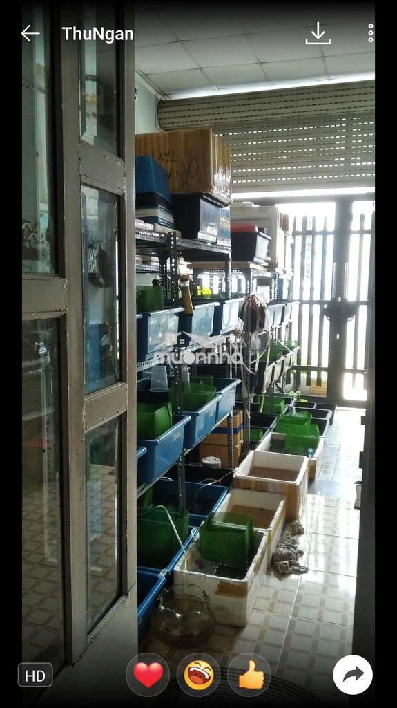 Cần bán nhà đẹp sổ hồng chính chủ