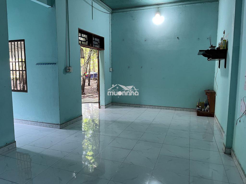 Cần bán nhà vườn khu tân hưng bàu bàng sát khu công nghiệp tân binh - 3
