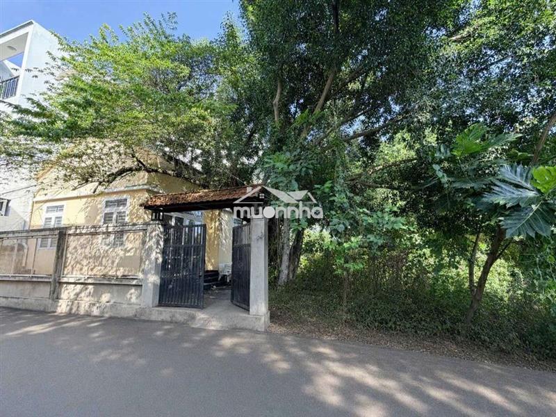 Căn góc 200m2, sân đậu 2 oto, 2pn 2wc. ở + làm kho, kd online