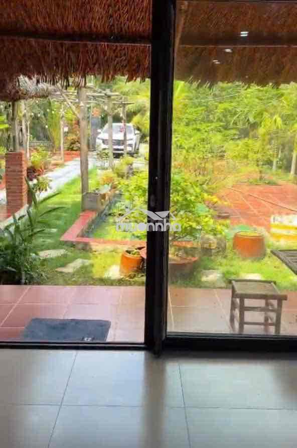 Gấp gấp nhà vườn an điền 15x52m. thổ cư 200m2 sẵn nhà , cây ăn quả