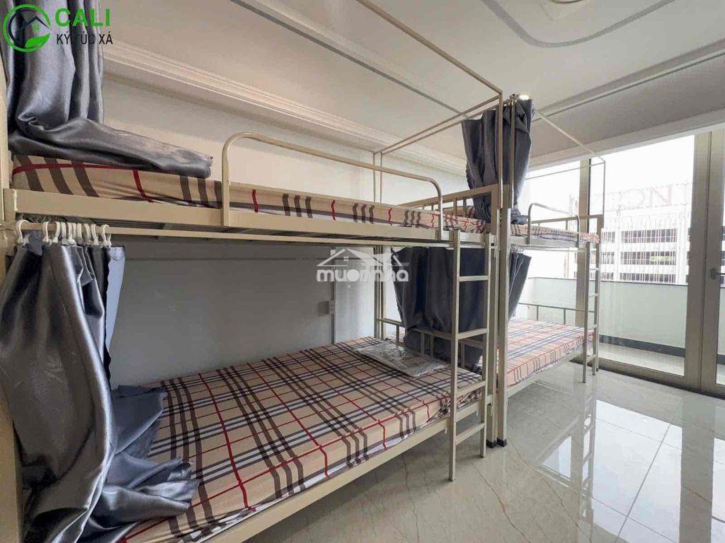 Ktx cali cơ sở 3 - đối diện aeon mall tân phú - 4