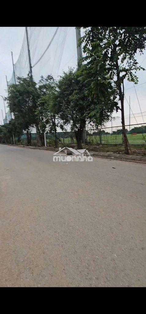 Cho thuê biệt thự kđt thanh hà_bàn giao thô_nhìn ra sân golf - 4