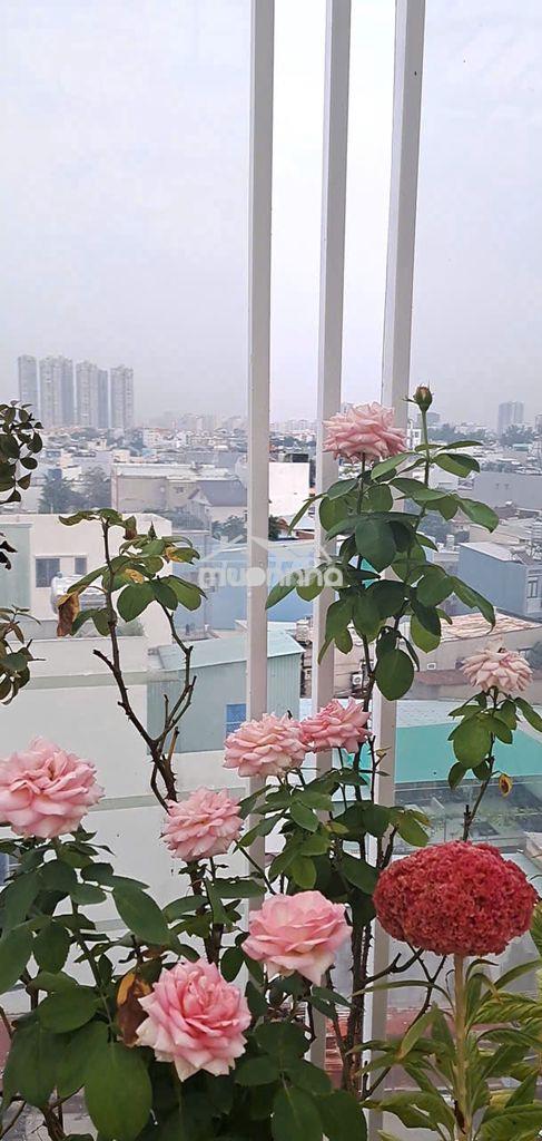 Phòng trọ xây mới