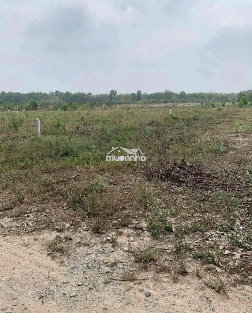 Bán mãnh sào 5.166m2 có sẵn thổ cư 100m - 3