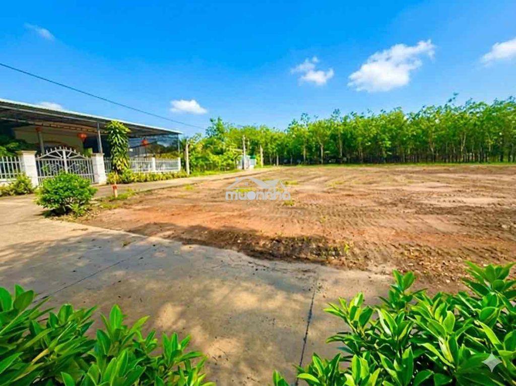 Chính chủ trực tiếp bán lô đất thổ cư của gia đình đầy đủ tiện ích - 4