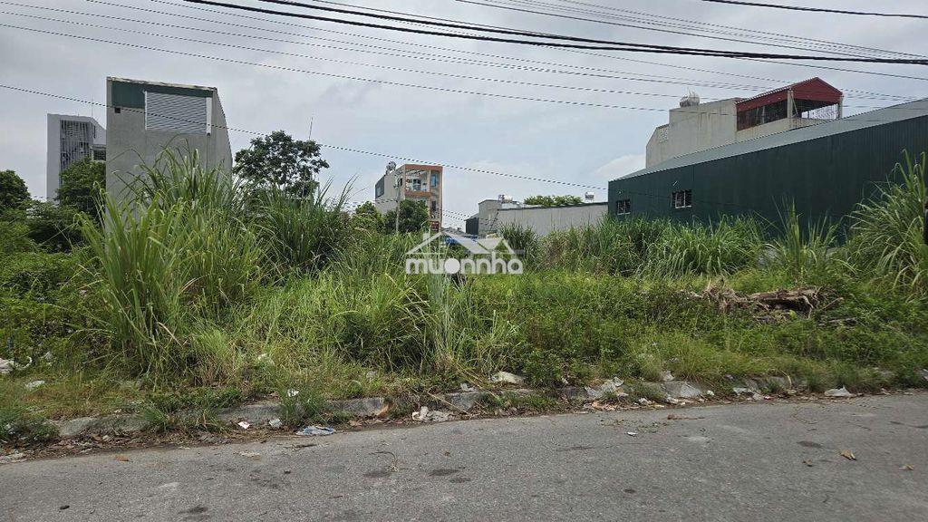 Bán đất, cho ai có thiện chí. - 4