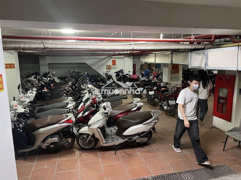 Cho thuê vp phố nguyễn khang,cầu giấy,hà nội,dtsd 200m2 – 300m2, 