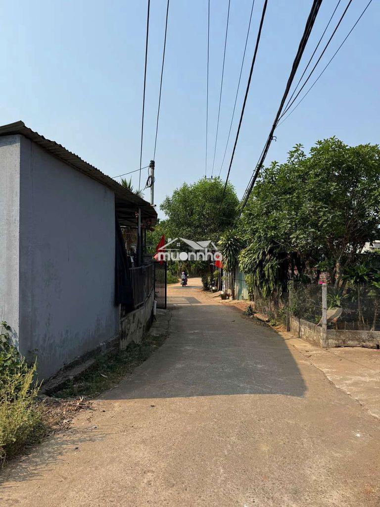 250m2 đất trồng cây hằng năm, khả năng lên thổ được trong tương lai - 3