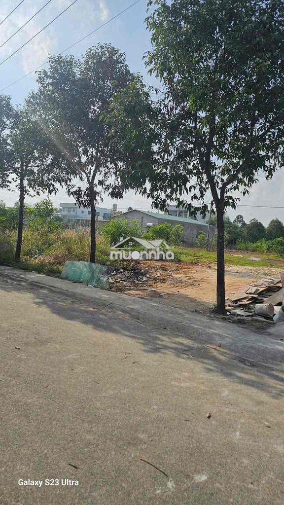 Bán đất bến cát giá rẻ 300m2 giá 840 triệu sát trường đại học việt đức - 2