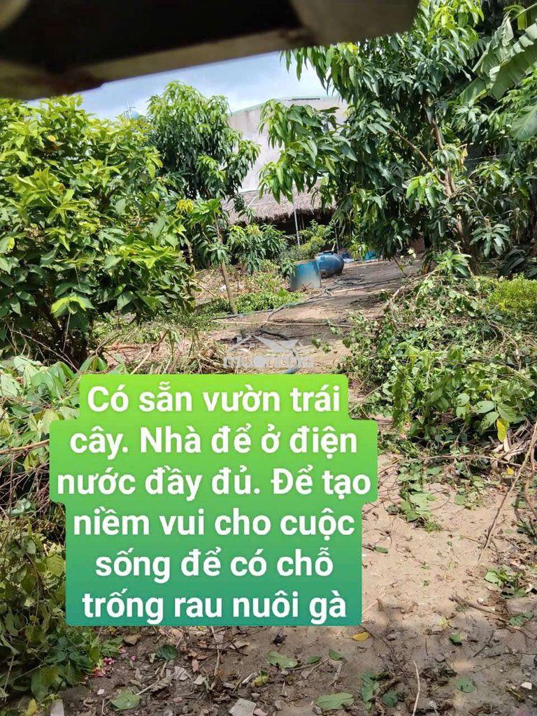 Nhà vườn 600m có nhà điện nước nhà nước đường võ văn vân vĩnh lộc b