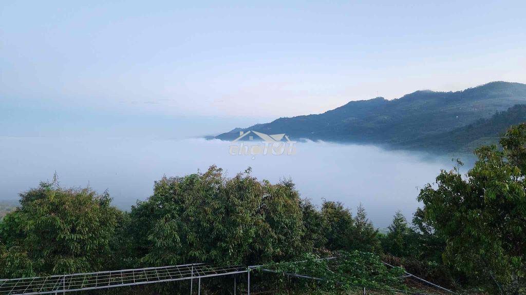 Đất bảo lộc view săn mây - 3