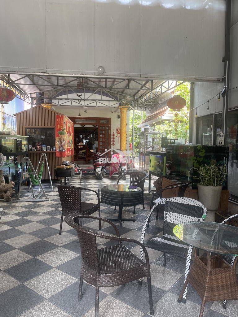 Bán nhà đất có vườn cây ăn trái - 3