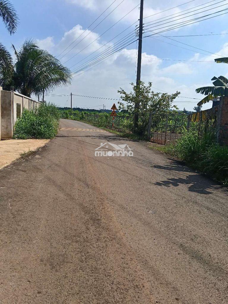 Đất sào mt đường nhựa - 2