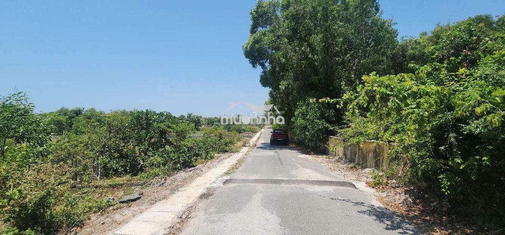Lô đất view rừng, 1000m2, cách biển hồ tràm 500m, shcc,tiện kd du lịch - 2