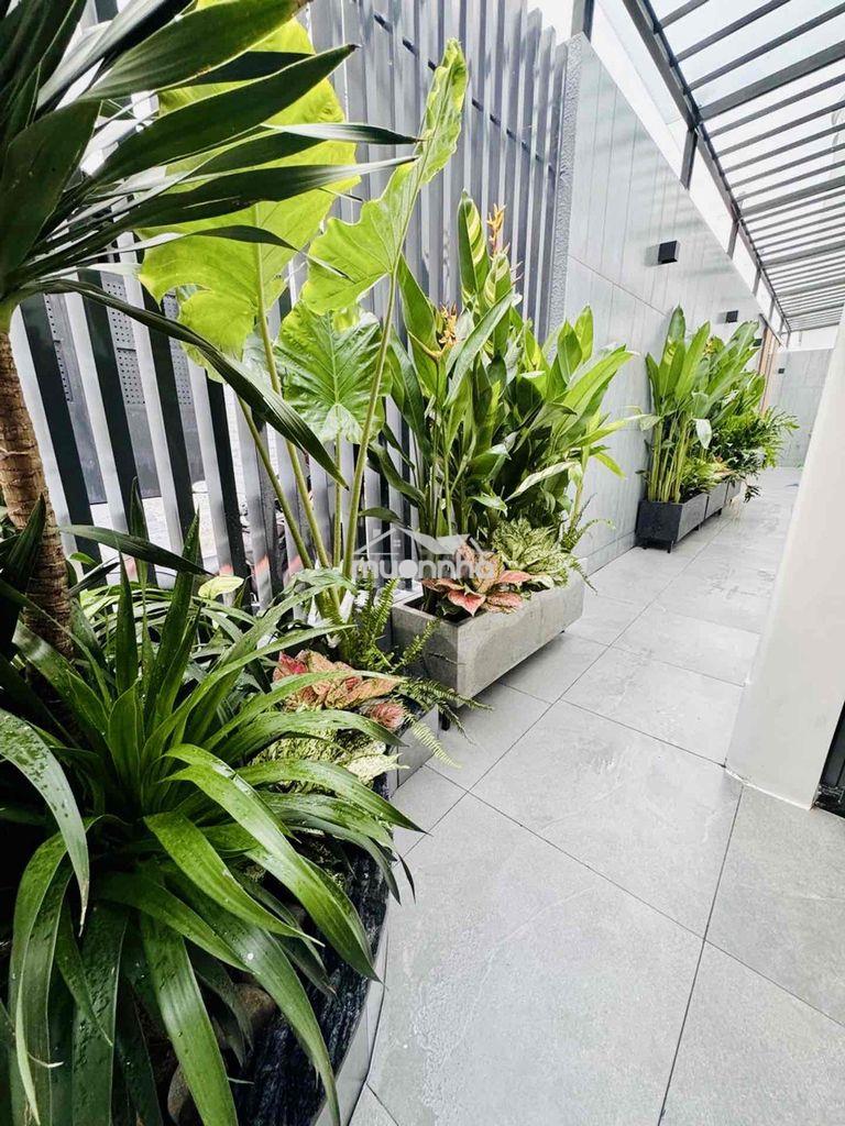 Nhà mới 6 tầng cv làng hoa, lô góc, xe hơi thông - 2
