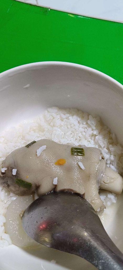 Chính chủ cho thuê nguyên căn thág 9 - 3