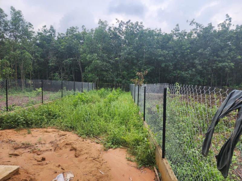 Cho thuê nhà mới xây 120m2 kèm đất 1.500m² tại thường tân, bình dương – chỉ 6 triệu/tháng