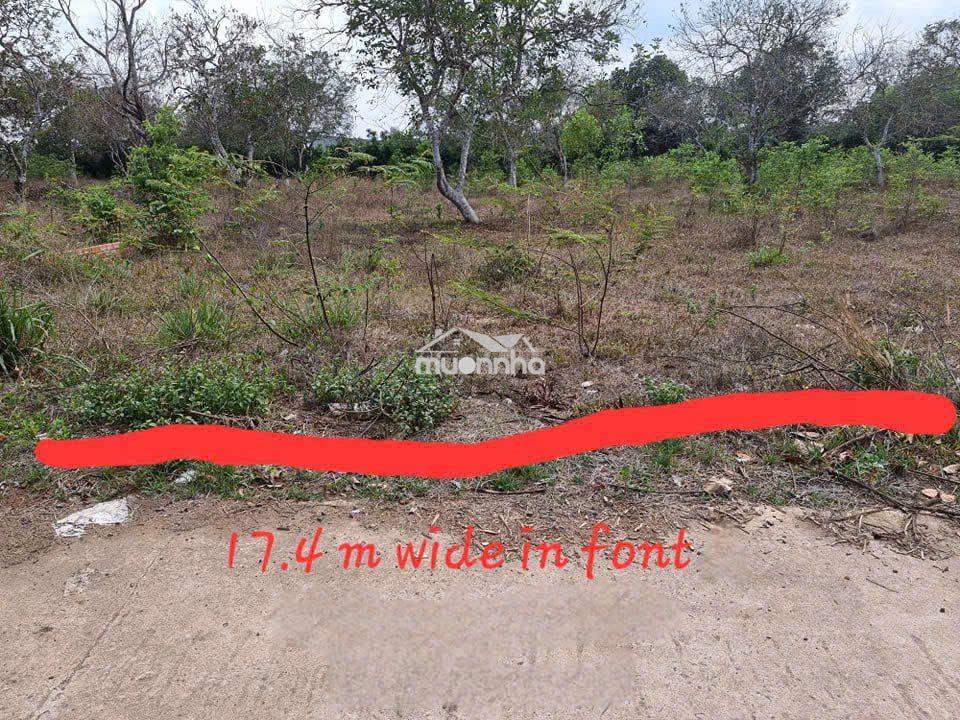 🔥 1.119m² đất bình an  | cách sân bay long thành khoảng 5km 🔥 - 2