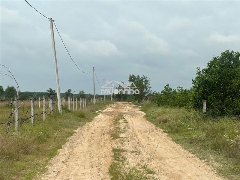 Bán 1001m2 đất đường số 1 - lagi gần biển giá ngộp 1.6 tỷ