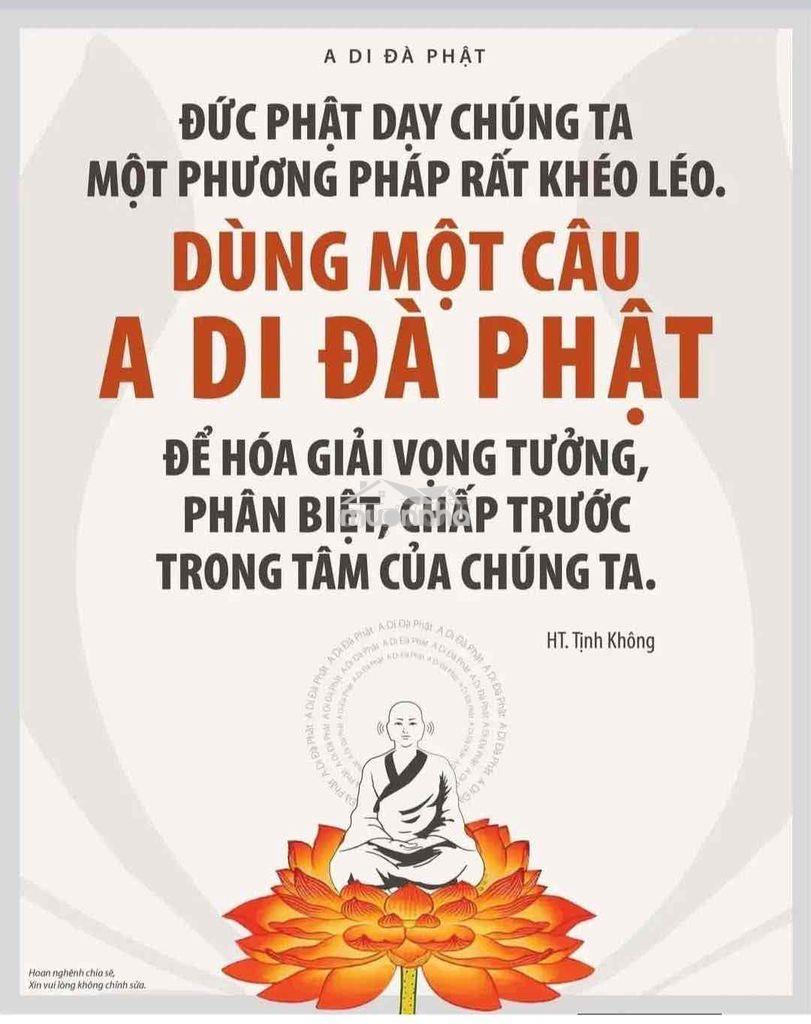 Cho thuê biệt thự himlam 20x20 có pccc - 2
