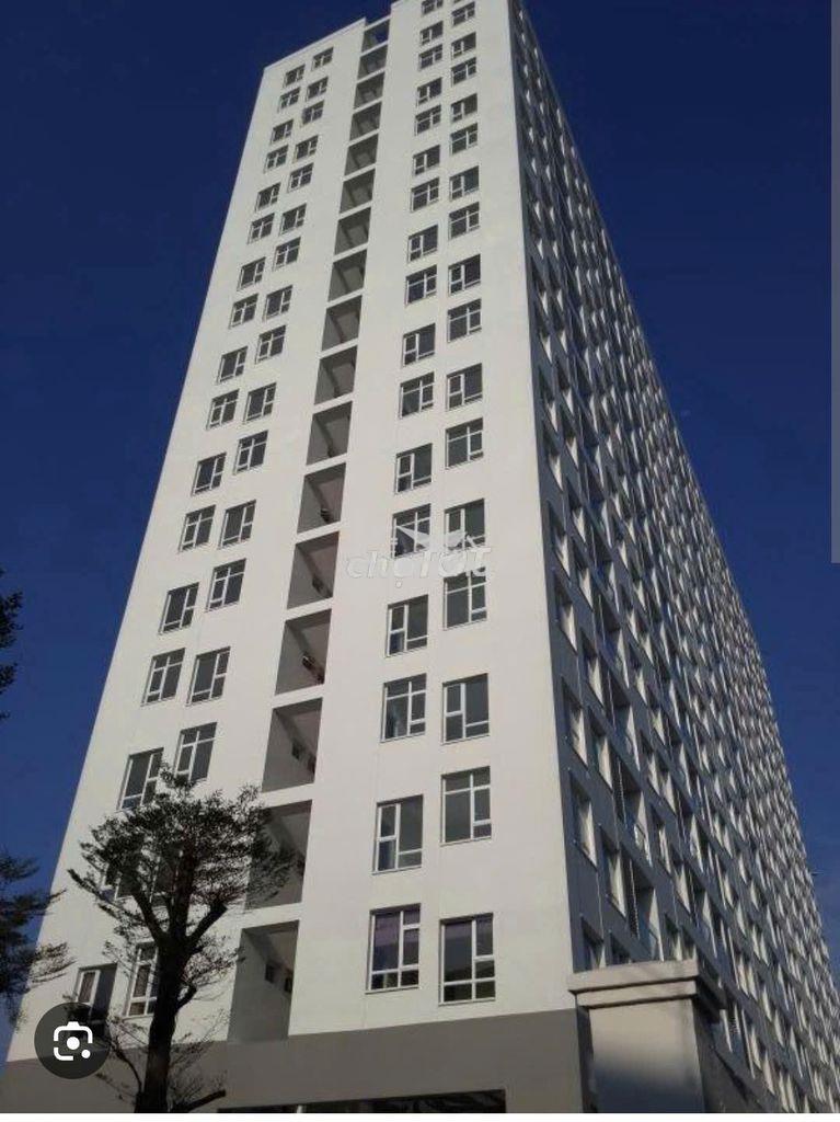Cần cho thuê chung cư hoa sen đường lạc long quân q 11
