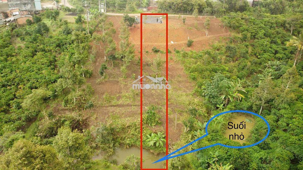 Bán lô đất view đồi, view suối - full thổ cư, ngang 8m, cách ql55 400m - 3