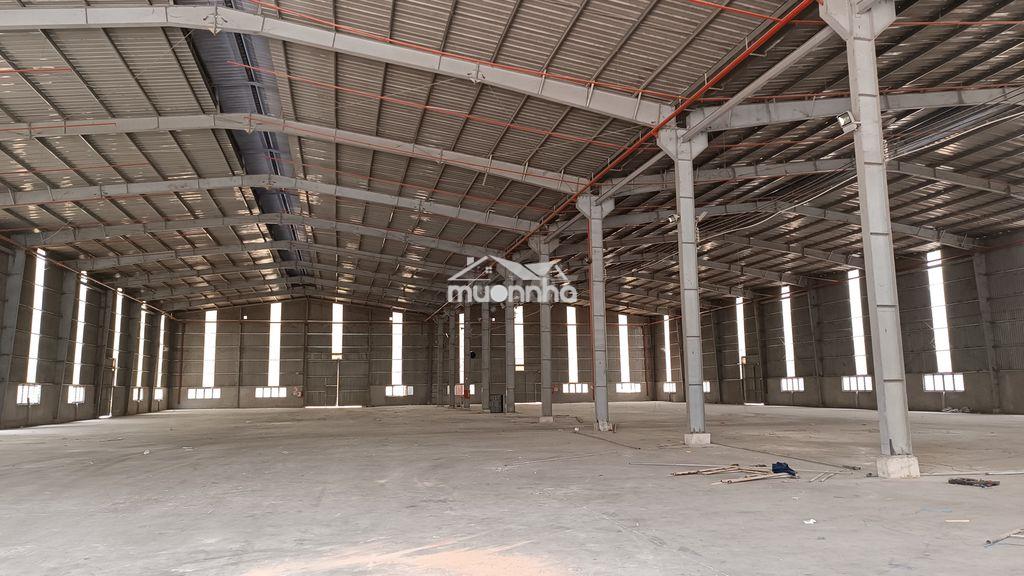 Cho thuê kho xưởng 3000m2. giá 2.8 đô/1m2. - 3