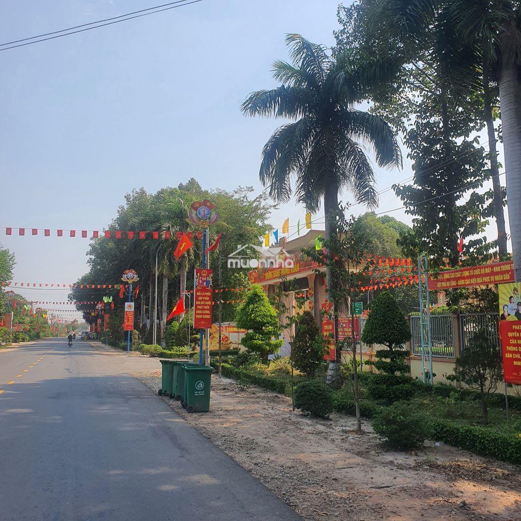 Đất ngộp 4 lô 20x51=1015m2 shr-thổ cư,đường 15m ngay chợ giá 590 triệu - 3