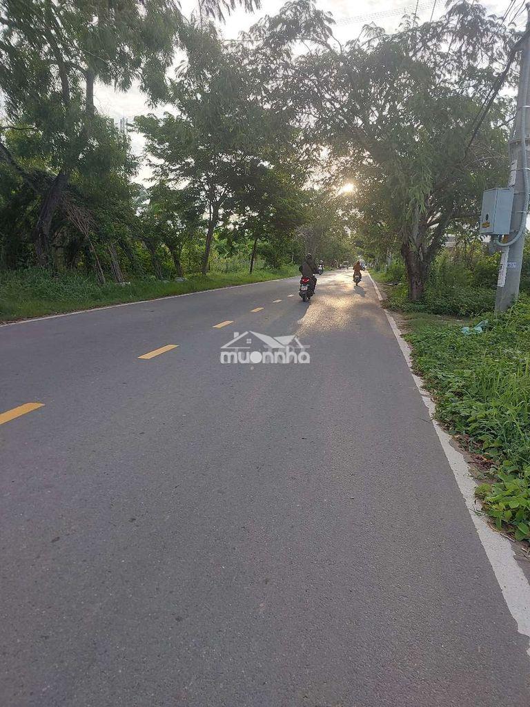 Bán 233 m2 đất mặt tiền ngô quang thắm nhơn đức, nhà bè. - 3