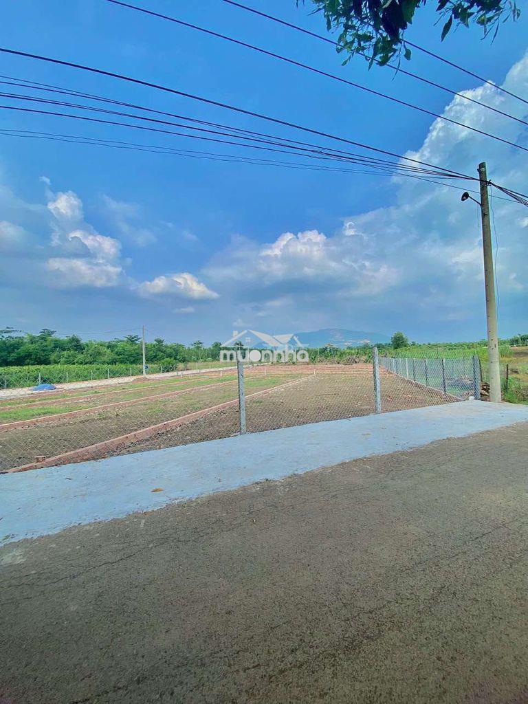 Nền sổ riêng full thổ cư view núi chứa chan - 4