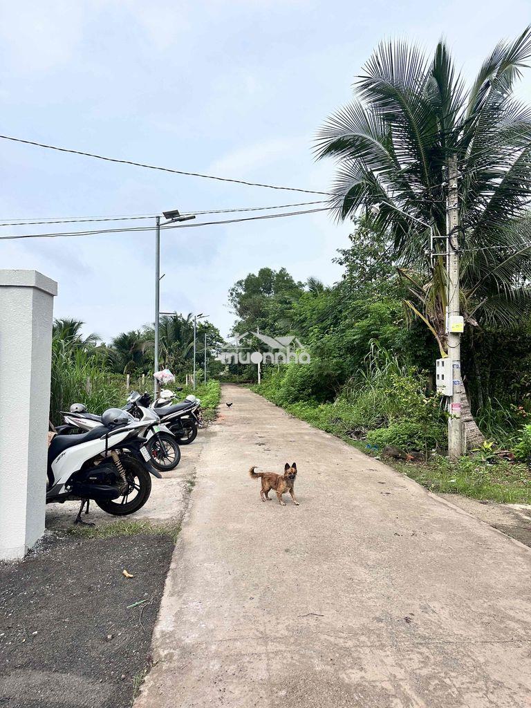 Top nhà ngang rộng hơn 12m ngay tại p.long khánh - 4