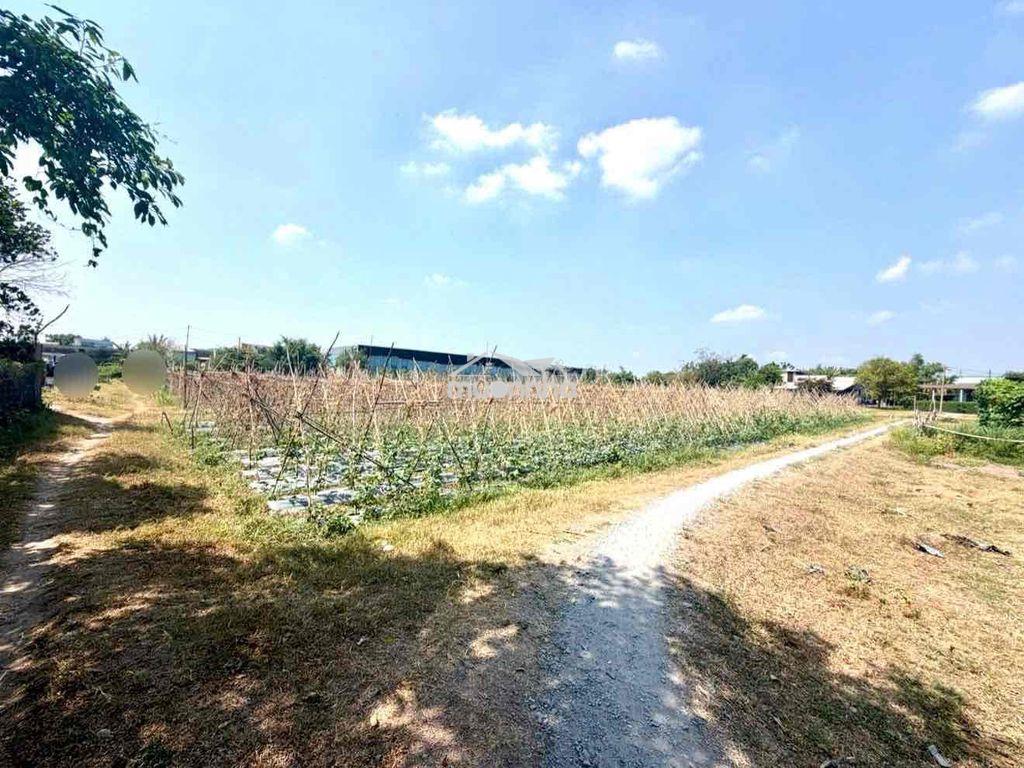 Đất khu dân cư . gần kcn vĩnh lộc . tân bình  chín chủ - 3