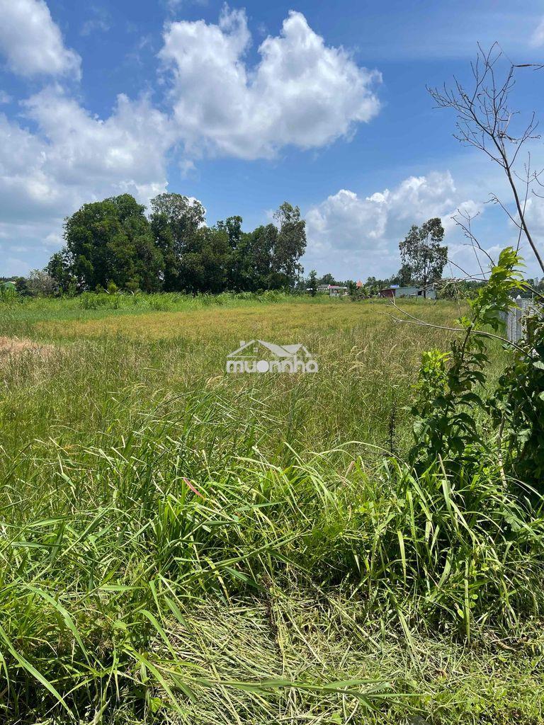 Mặt tiền đất trồng cây tinh lộ 873