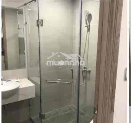 Cho thuê căn hộ 1pn cao cấp vinhomes - 3