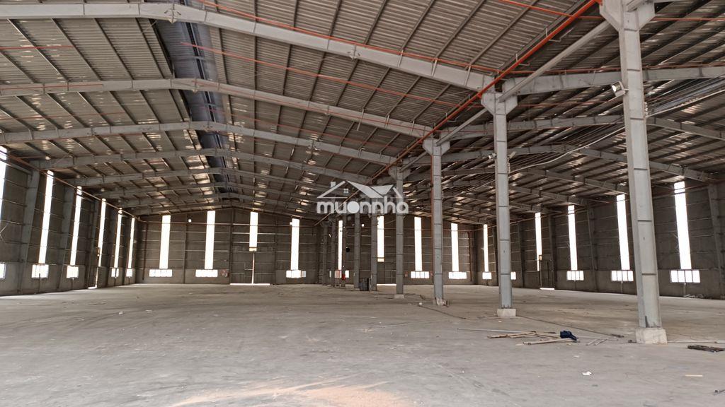 Cho thuê kho xưởng 3000m2. giá 2.8 đô/1m2. - 2