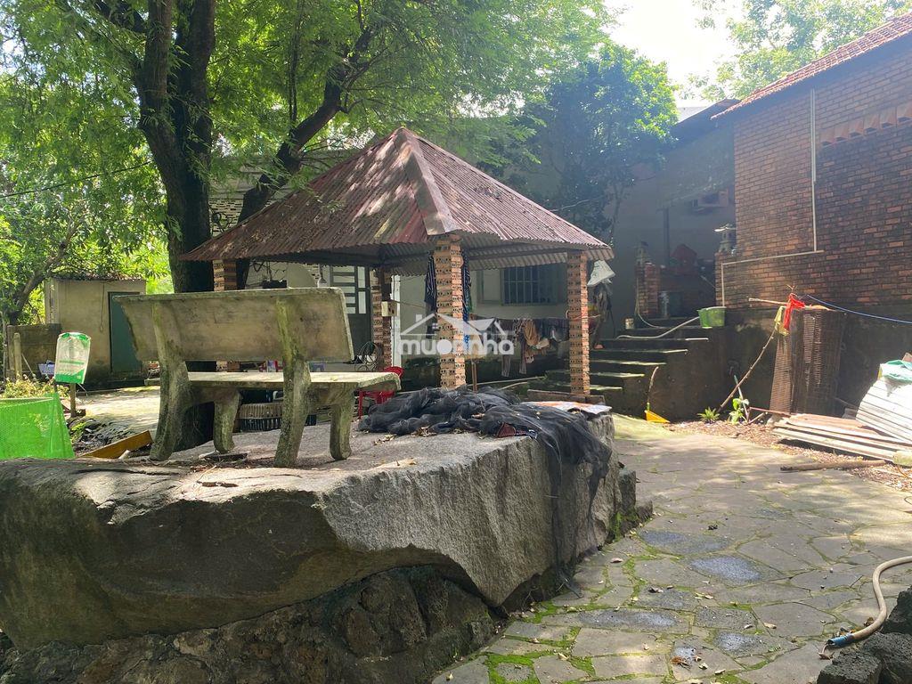 Bán vies nghi dưỡng 1,4ha có đầy đủ tiện nghi,mua vào là ở.giá rẽ - 2