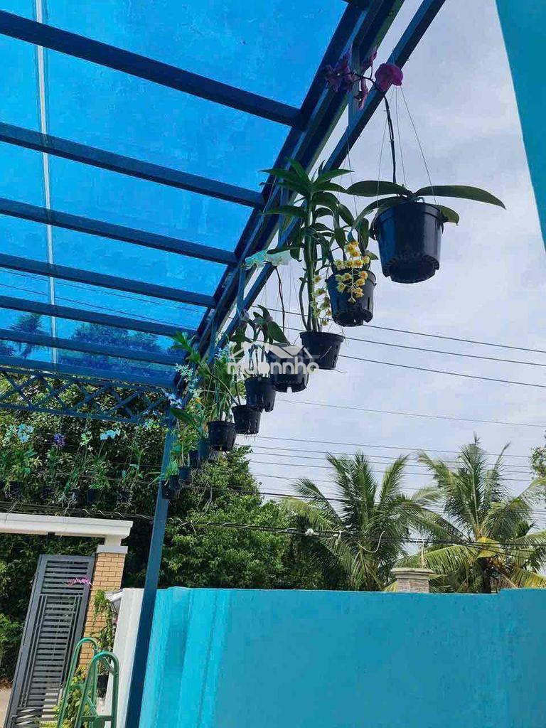 Nhà mặt tiền dx nhựa , phường tân an. 5x25m. 1 trệt 1 lầu - 3