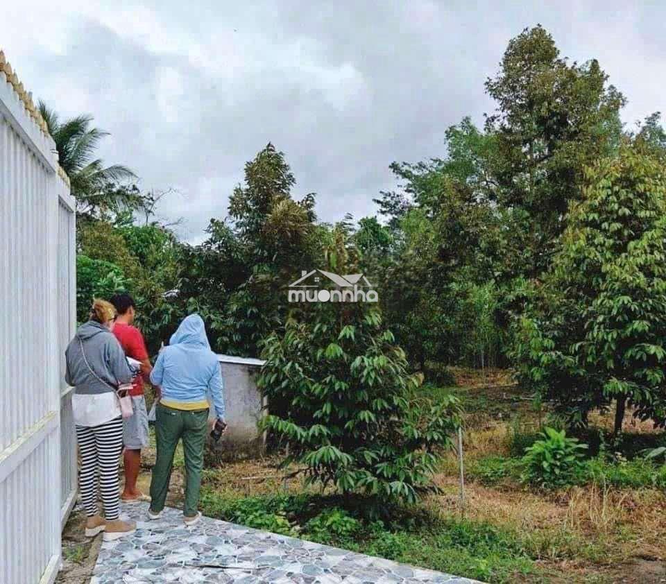 Bán gấp nhà vườn chuyển về quê - 3