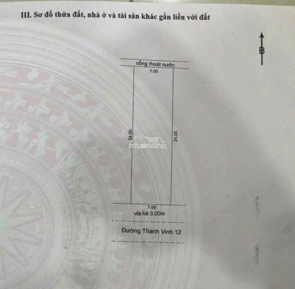 💥Đất diện tích khủng 168m2 (7x24m) mặt tiền thanh vinh 12 | bán gấp  - 2
