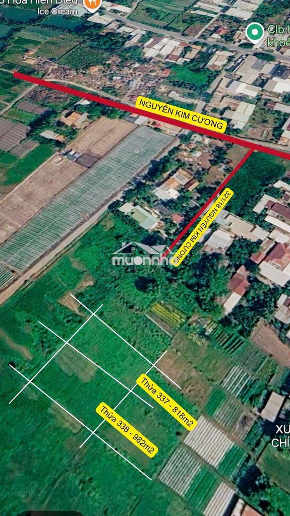 1800m2 đất nông nghiệp tân thạnh đông - 22km từ sài gòn - 2