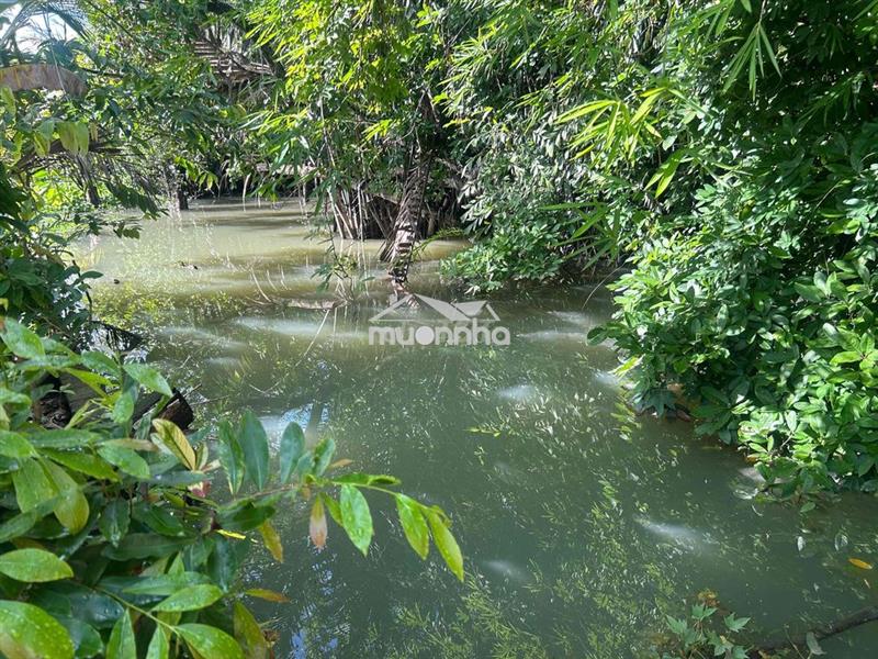 Bán nhà cấp 4 kiên cố trên 100n2