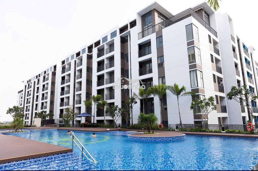 Căn hộ có hồ bơi, ban công rộng nhà mới tinh ngay cầu phú mỹ - 2