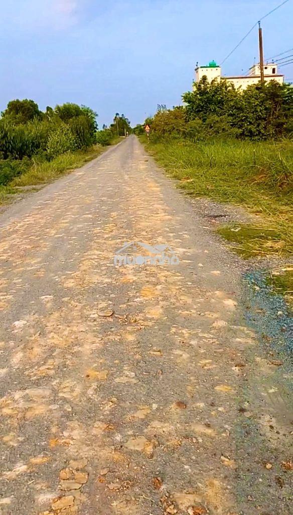 Có 3 lô đất thổ cư cần bán- ngang 8m dài 30m-thạnh hóa long an cũ - 2