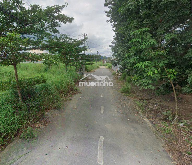 Bán 3 lô đất ngay kcn giang điền, đường ô tô thông 1tỷ3/lô shr - 2